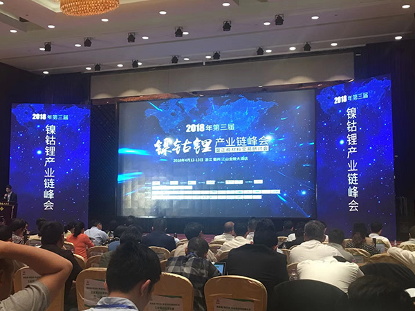 聯(lián)開風(fēng)采-鎳鈷鋰行業(yè)會場